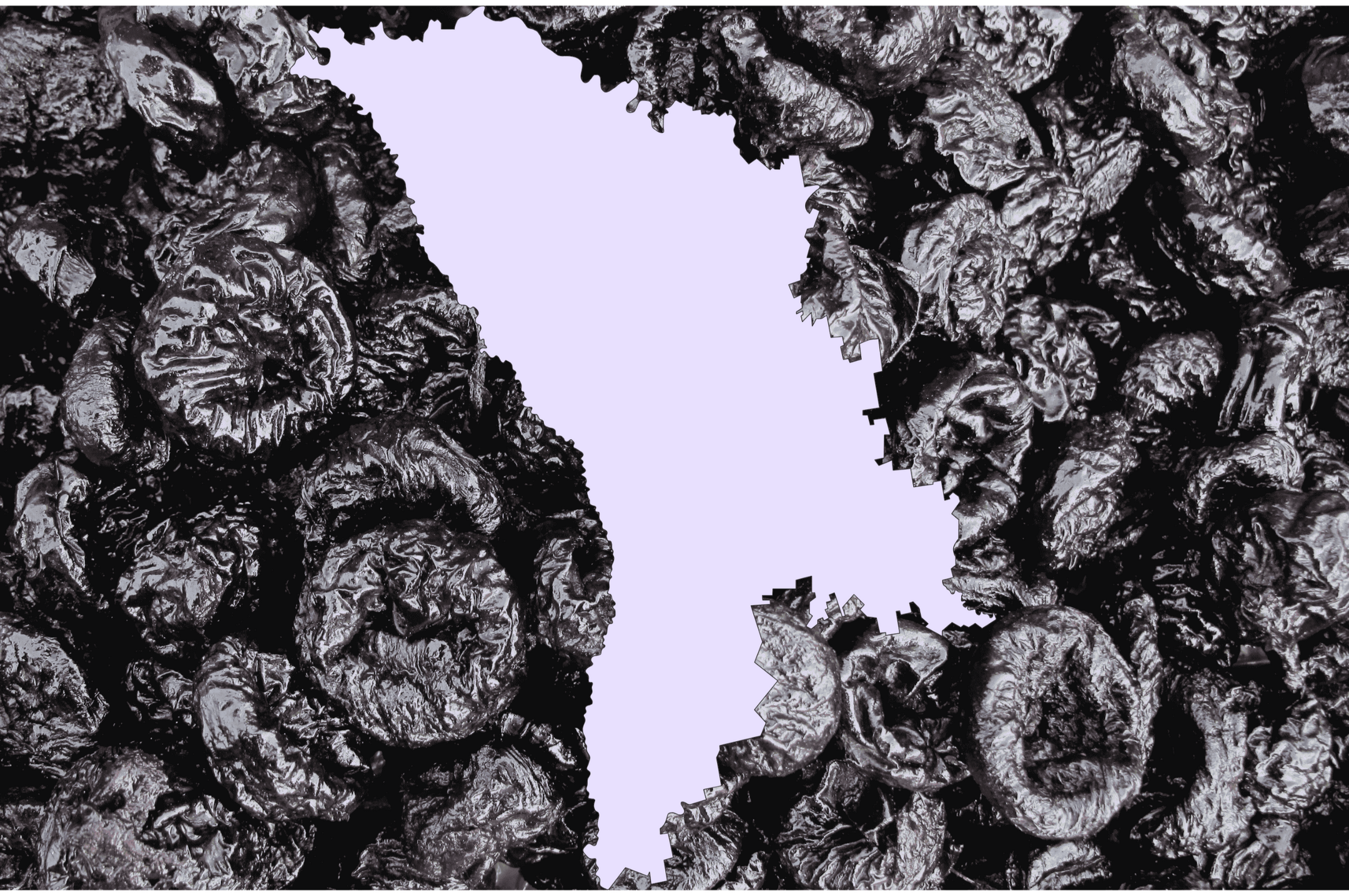 Dried prunes from Moldova in bulk – supplier for EU importers